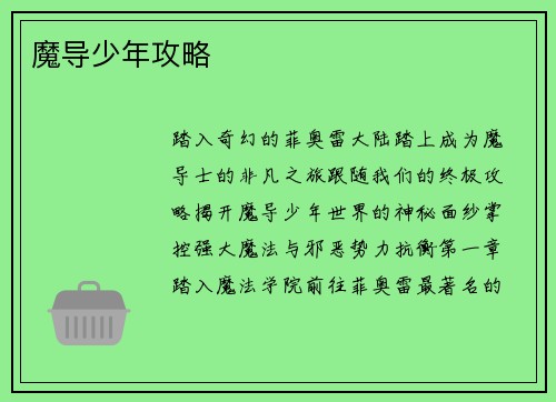 魔导少年攻略